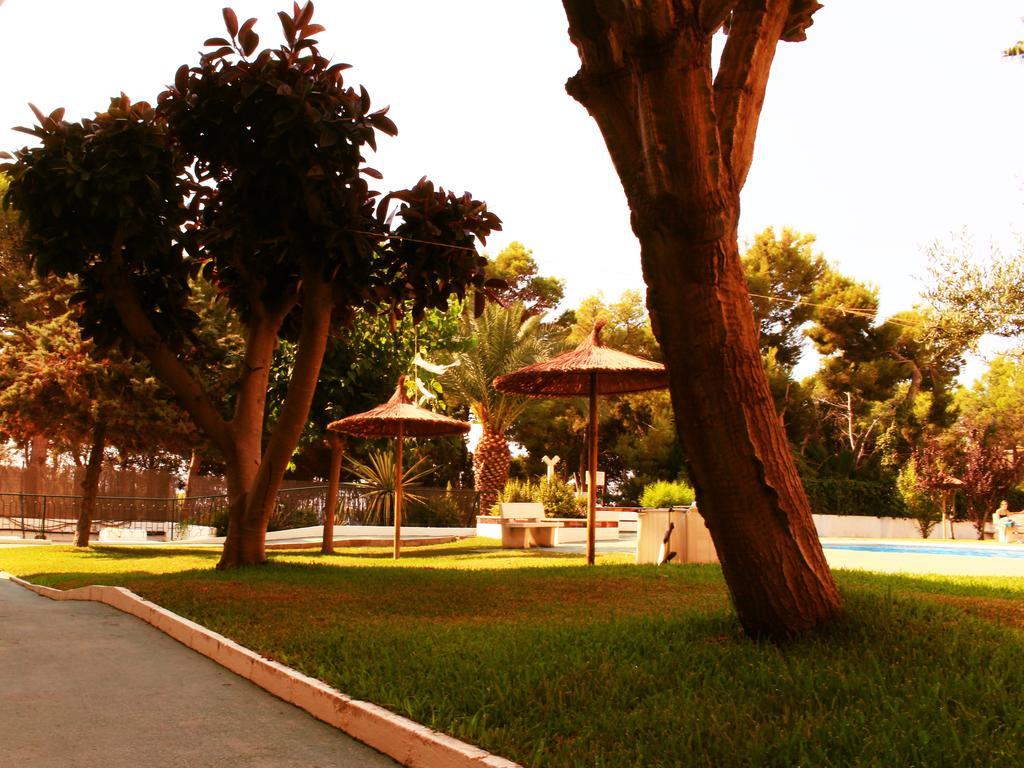 Coveta Beach Apartament El Campello Extérieur photo